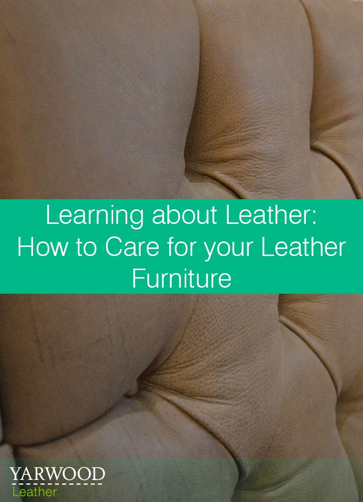 Learning-about-Leather-How-To-Care-For-Your-Leather-Furniture-01