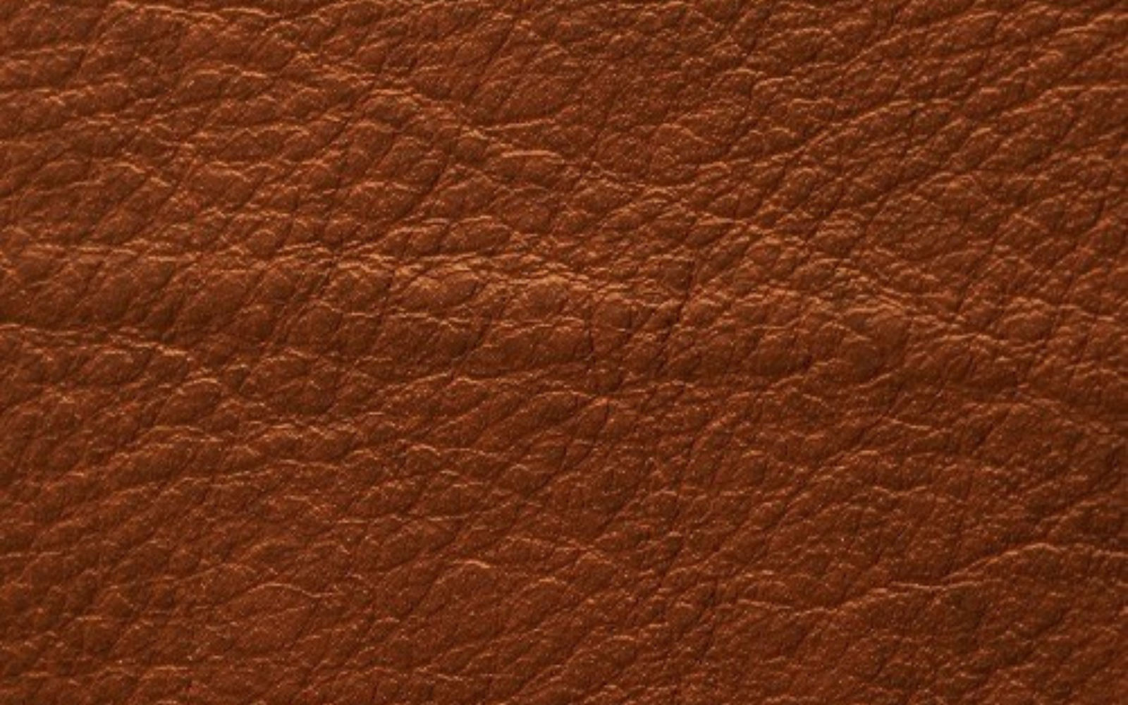Scar on leather hide